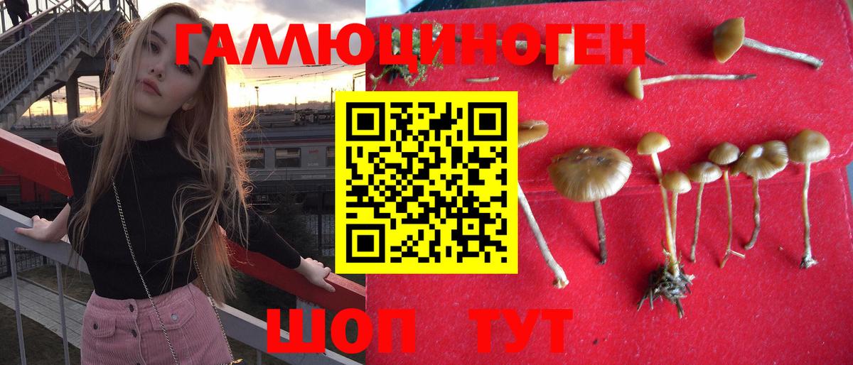 Еманжелинск  Галлюциногенные грибы Magic Shrooms  Вход с VPN  Галлюциногенные грибы Psilocybine cubensis 