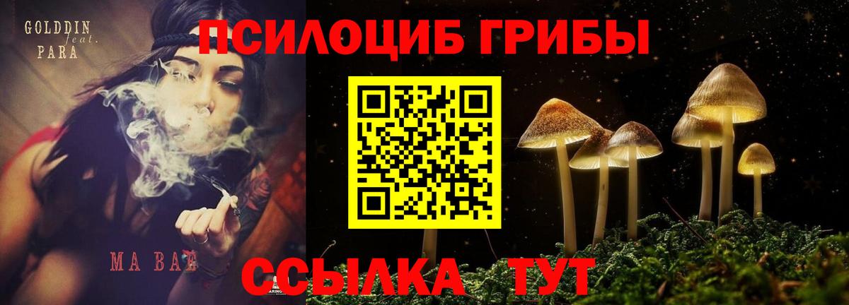 Псилоцибиновые грибы прущие грибы Еманжелинск